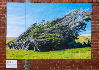 Gavin John Photography Exhibition Phobia