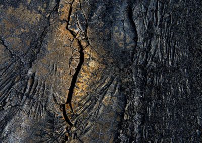 Gavin John Photography Exhibition Terra Incognita