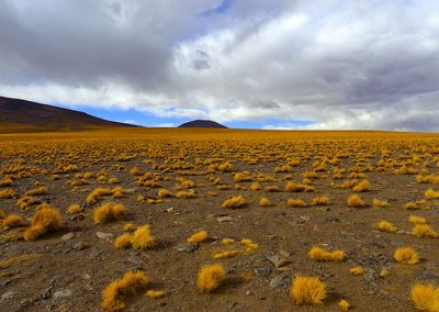 Gavin John Photography Exhibition Terra Incognita