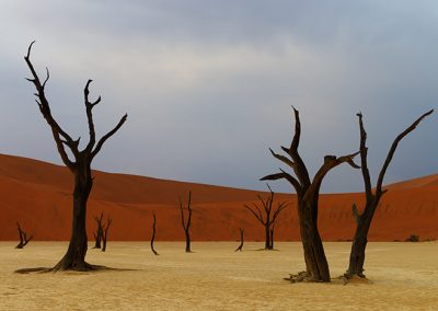 Gavin John Photography Exhibition Terra Incognita