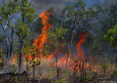 Gavin John Photography Landscape bush fire red centre australia