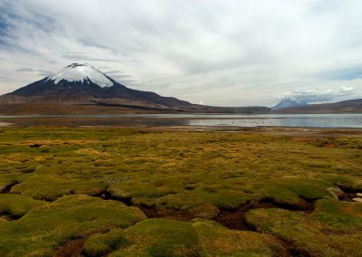 Gavin John Photography Landscape Chile Atacama Desert Parque Nacional Lauca