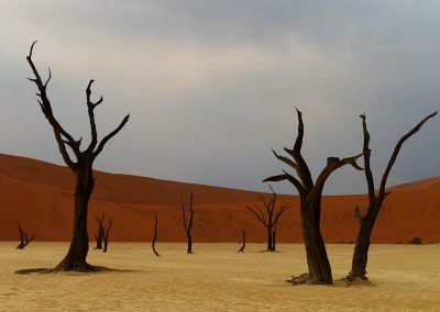 Gavin John Photography Landscape