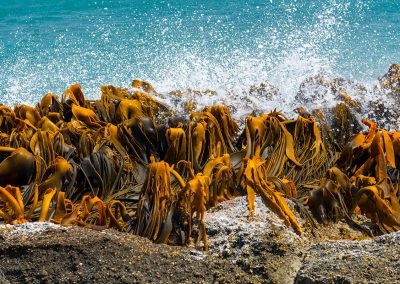 Gavin John Photography Landscape
