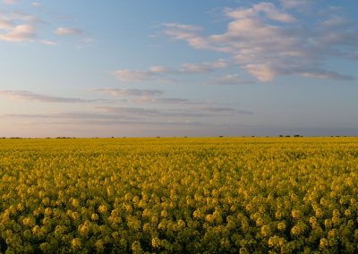 Gavin John Photography Landscape © Gavin M. John - gavinjohnphotography.com